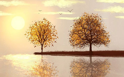 网站SEO排名优化软件招商信息:区域代理加盟政策详解