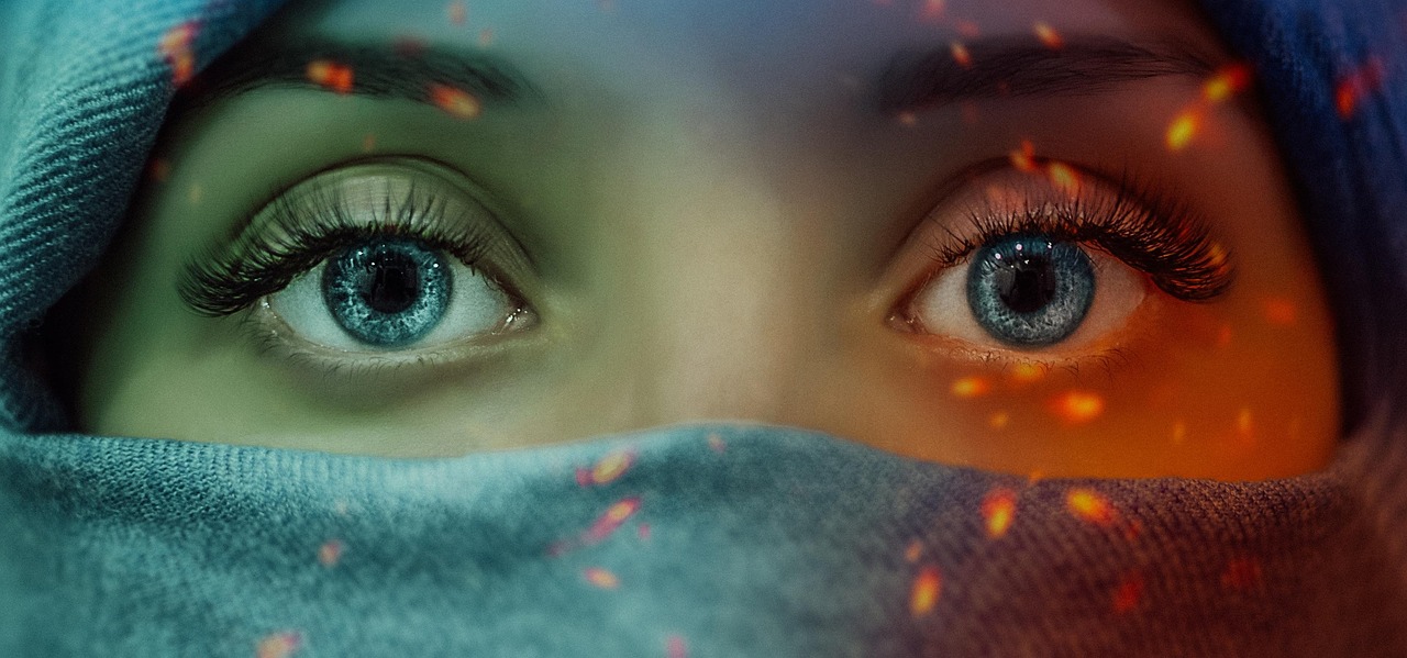 常用网站建设程序盘点：2026年主流建站系统对比与选择建议